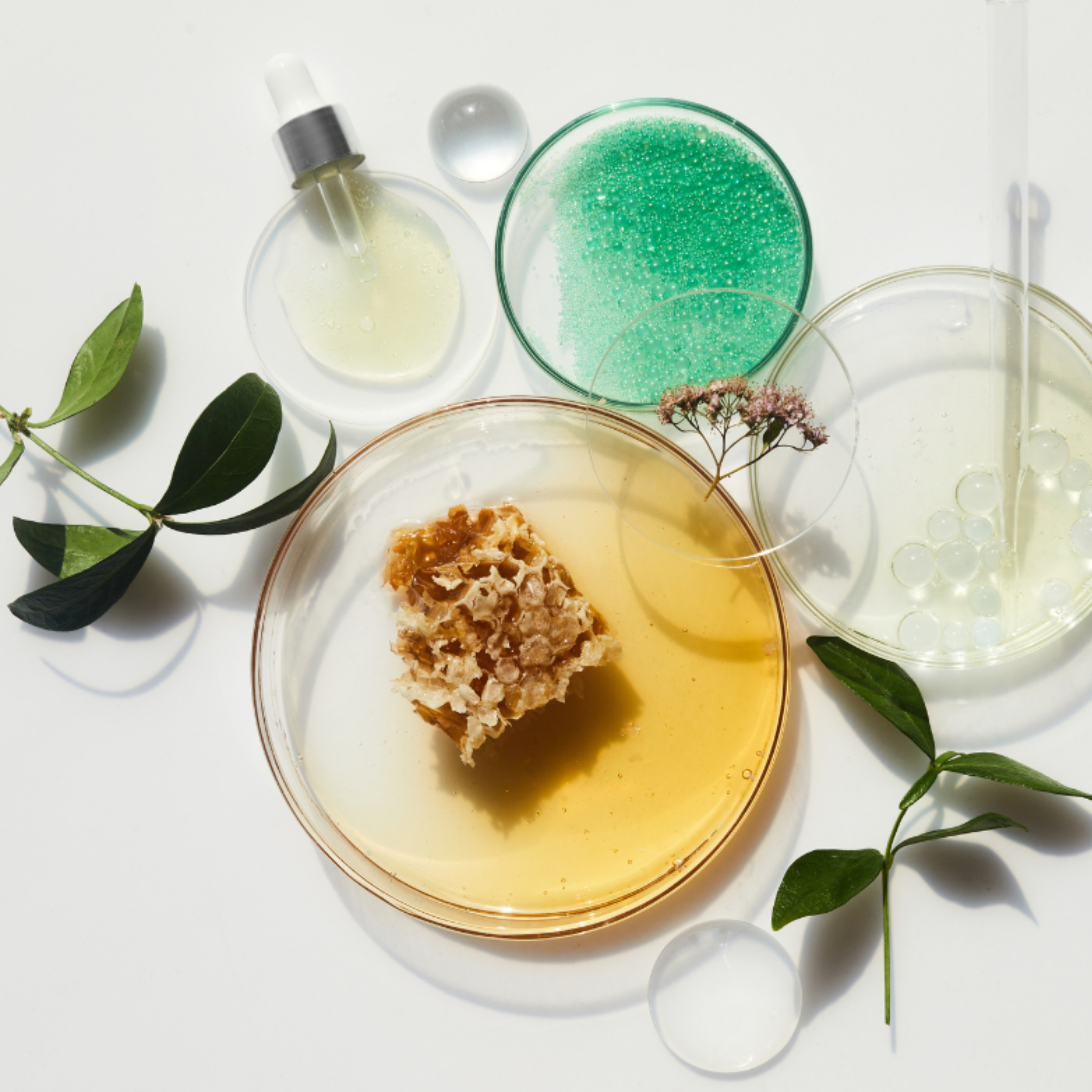 Cosmetic stability testing report example